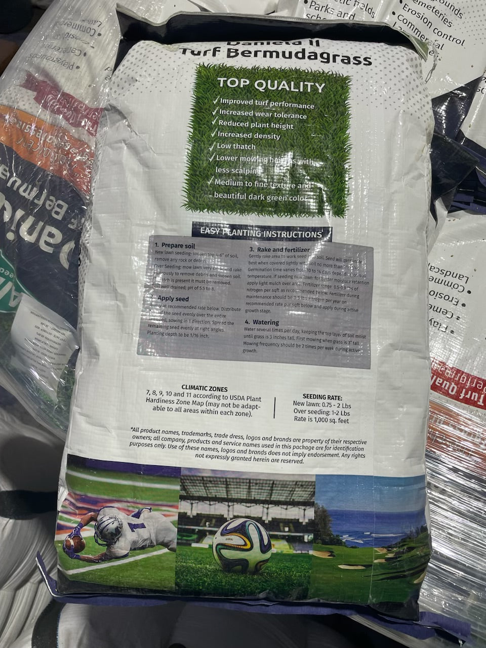 Daniela ll Turf Bermudagrass Seed Daniela ll Turf Bermudagrass Seed