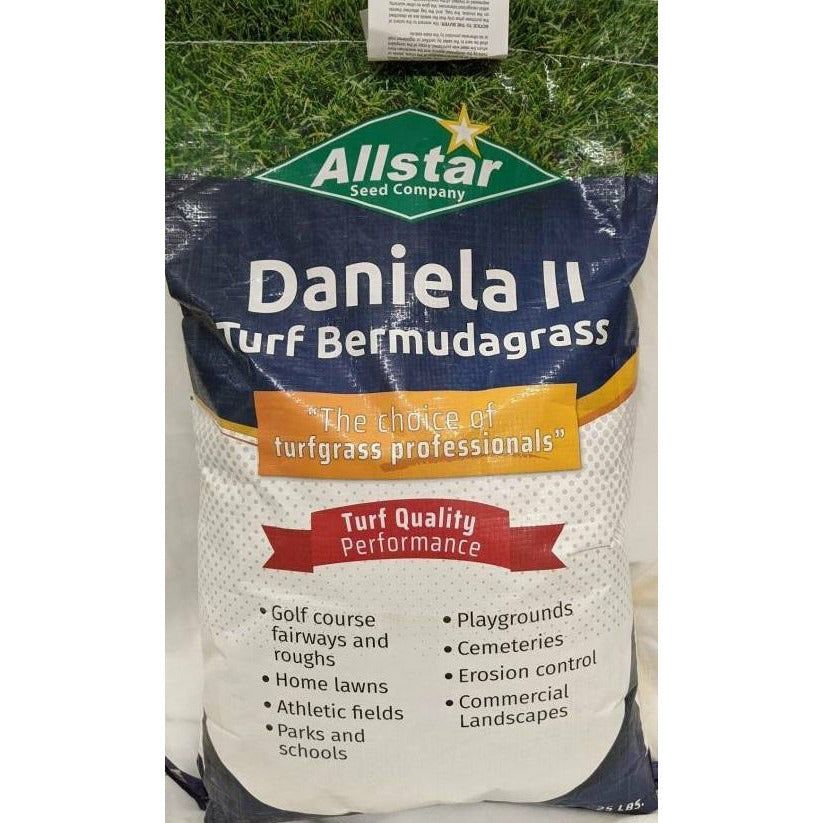 Daniela ll Turf Bermudagrass Seed Daniela ll Turf Bermudagrass Seed