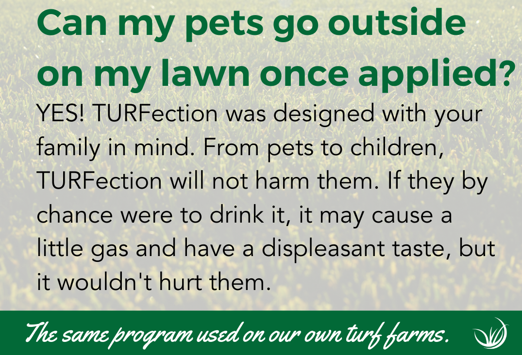 TURFection Fall Fertilizer Kit
