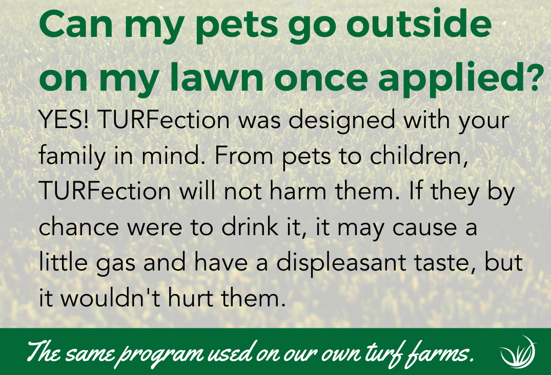TURFection Fall Fertilizer Kit TURFection Fall Fertilizer Kit