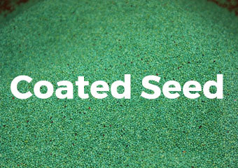 Gulf Kist Coated Centipede Seed