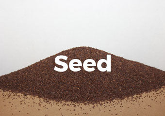 Gulf Kist Centipede Seed